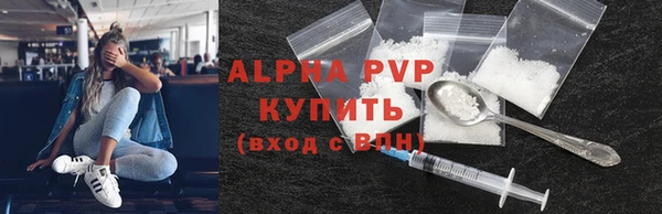 стафф Алексин