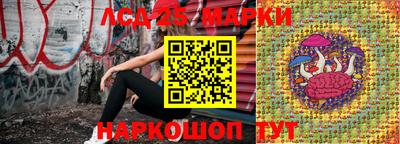герыч Кингисепп