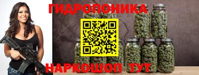 герыч Кингисепп