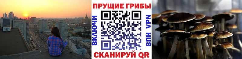 хочу наркоту  Ревда  MEGA ссылки  Галлюциногенные грибы мухоморы 